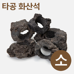 bizidduk타공 화산석(소) 5~8cm