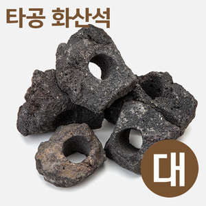 bizidduk타공 화산석(대) 8~11cm
